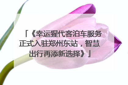 《幸运猩代客泊车服务正式入驻郑州东站，智慧出行再添新选择》
