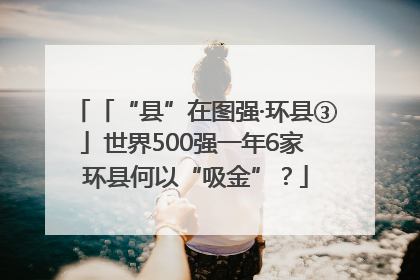 「“县”在图强·环县③」世界500强一年6家 环县何以“吸金”？