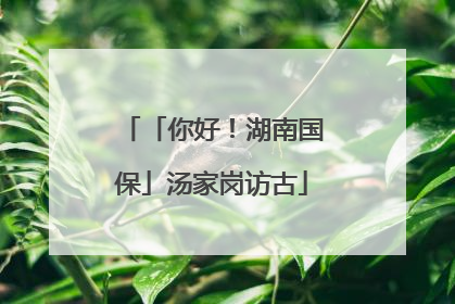 「你好！湖南国保」汤家岗访古