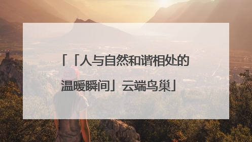 「人与自然和谐相处的温暖瞬间」云端鸟巢