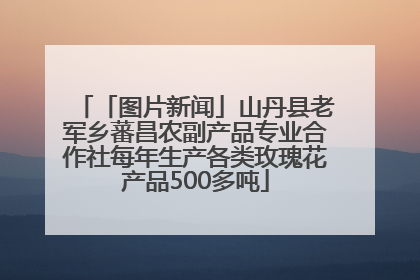 「图片新闻」山丹县老军乡蕃昌农副产品专业合作社每年生产各类玫瑰花产品500多吨