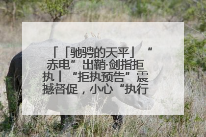 「驰骋的天平」“赤电”出鞘·剑指拒执︱“拒执预告”震撼督促，小心“执行”变“执刑”