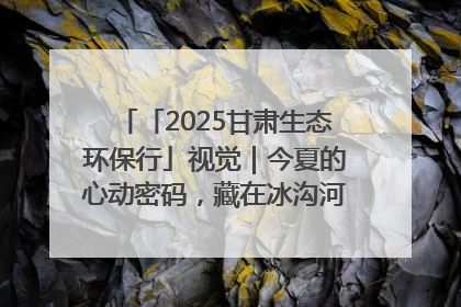 「2025甘肃生态环保行」视觉｜今夏的心动密码，藏在冰沟河的潋滟波光里