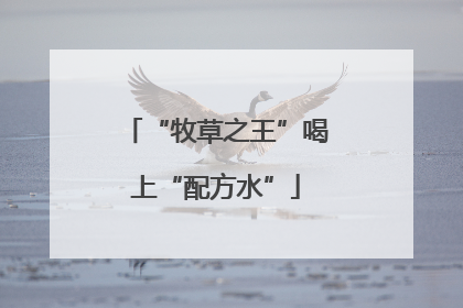 “牧草之王”喝上“配方水”