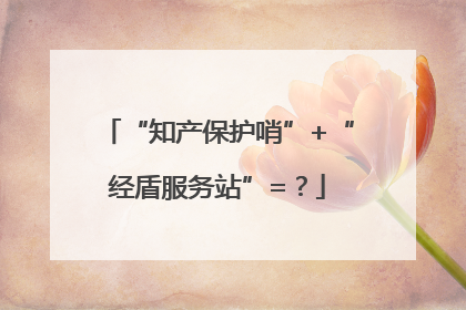 “知产保护哨”+“经盾服务站”=？
