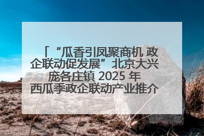 “瓜香引凤聚商机 政企联动促发展”北京大兴庞各庄镇 2025 年西瓜季政企联动产业推介活动圆满举行