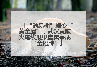 “简易棚”蝶变“黄金屋”，武汉黄陂火塔线瓜果售卖亭成“金招牌”