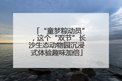 “童梦粽动员”，这个“双节”长沙生态动物园沉浸式体验趣味加倍