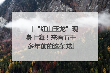 “红山玉龙”现身上海！来看五千多年前的这条龙