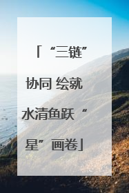 “三链”协同 绘就水清鱼跃“星”画卷