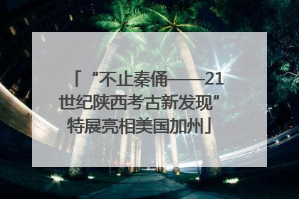 “不止秦俑——21世纪陕西考古新发现”特展亮相美国加州