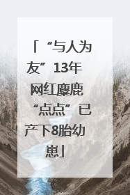 “与人为友”13年 网红麋鹿“点点”已产下8胎幼崽