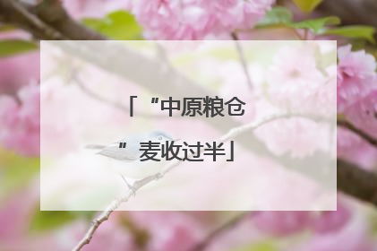 “中原粮仓”麦收过半