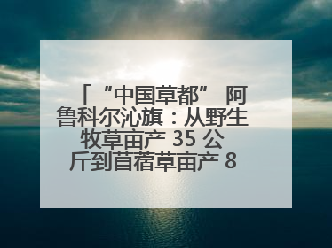“中国草都” 阿鲁科尔沁旗：从野生牧草亩产 35 公斤到苜蓿草亩产 800 公斤以上