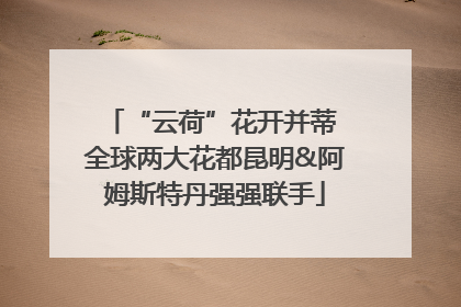 “云荷”花开并蒂 全球两大花都昆明&阿姆斯特丹强强联手