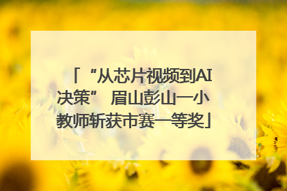 “从芯片视频到AI决策” 眉山彭山一小教师斩获市赛一等奖