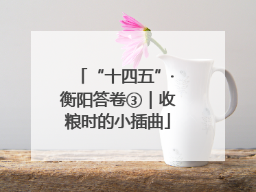 “十四五”·衡阳答卷③｜收粮时的小插曲