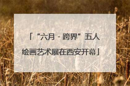 “六月 - 跨界”五人绘画艺术展在西安开幕