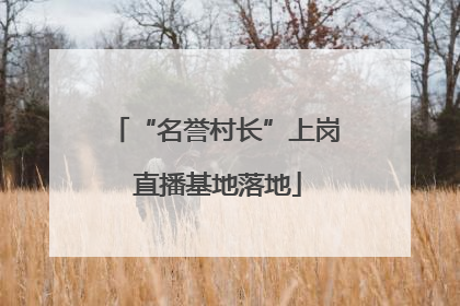 “名誉村长”上岗 直播基地落地
