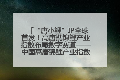 “唐小鲤”IP全球首发！高唐携锦鲤产业指数布局数字赛道——中国高唐锦鲤产业指数暨“唐小鲤”IP全球首发仪式在杭州举行