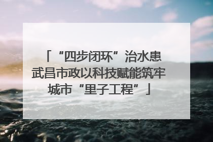 “四步闭环”治水患 武昌市政以科技赋能筑牢城市“里子工程”