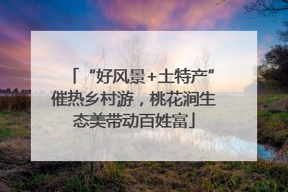 “好风景+土特产”催热乡村游，桃花涧生态美带动百姓富