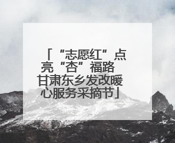 “志愿红”点亮“杏”福路 甘肃东乡发改暖心服务采摘节