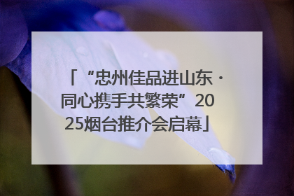 “忠州佳品进山东・同心携手共繁荣”2025烟台推介会启幕