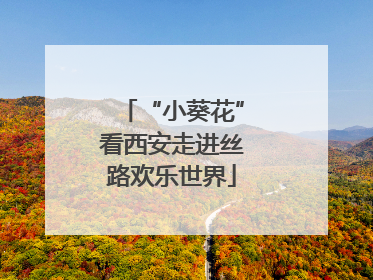 “小葵花”看西安走进丝路欢乐世界