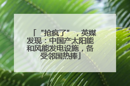 “抢疯了”，英媒发现：中国产太阳能和风能发电设施，备受邻国热捧