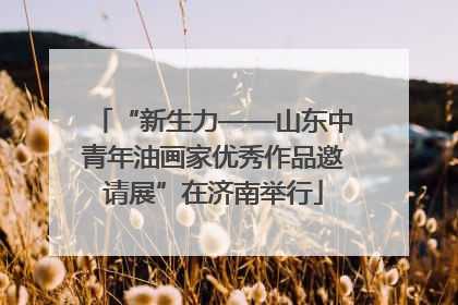 “新生力——山东中青年油画家优秀作品邀请展”在济南举行