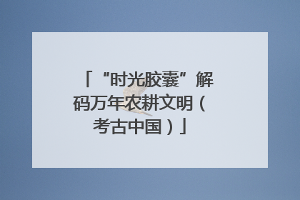 “时光胶囊”解码万年农耕文明（考古中国）