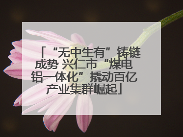 “无中生有”铸链成势 兴仁市“煤电铝一体化”撬动百亿产业集群崛起