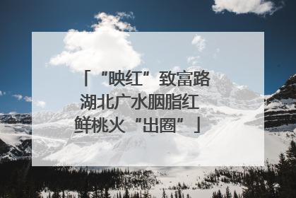 “映红”致富路 湖北广水胭脂红鲜桃火“出圈”