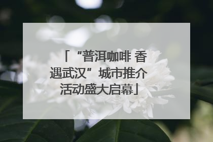 “普洱咖啡 香遇武汉”城市推介活动盛大启幕
