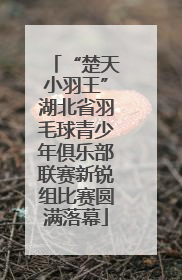 “楚天小羽王”湖北省羽毛球青少年俱乐部联赛新锐组比赛圆满落幕