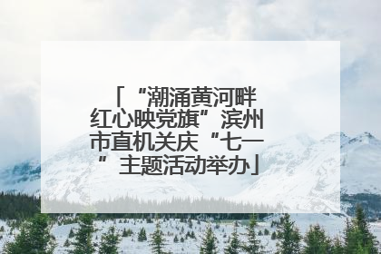 “潮涌黄河畔 红心映党旗”滨州市直机关庆“七一”主题活动举办