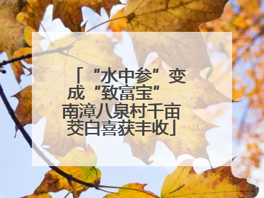 “水中参”变成“致富宝” 南漳八泉村千亩茭白喜获丰收