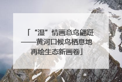 “湿”情画意鸟翩跹——黄河口候鸟栖息地再绘生态新画卷