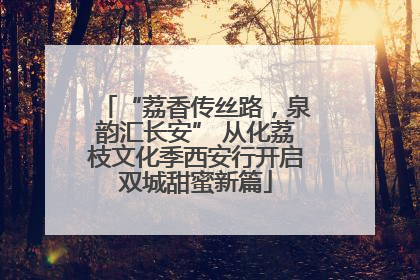 “荔香传丝路，泉韵汇长安” 从化荔枝文化季西安行开启双城甜蜜新篇