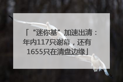 “迷你基”加速出清：年内117只谢幕，还有1655只在清盘边缘