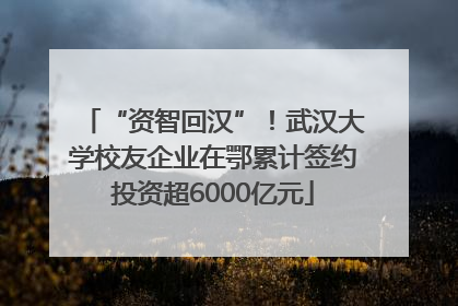 “资智回汉”！武汉大学校友企业在鄂累计签约投资超6000亿元