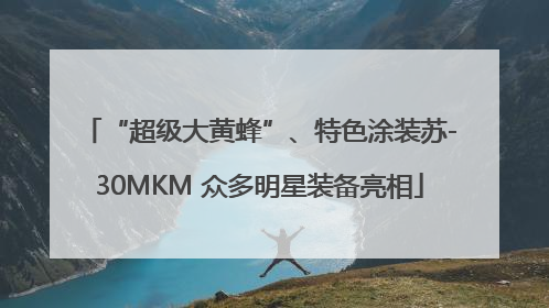 “超级大黄蜂”、特色涂装苏-30MKM 众多明星装备亮相