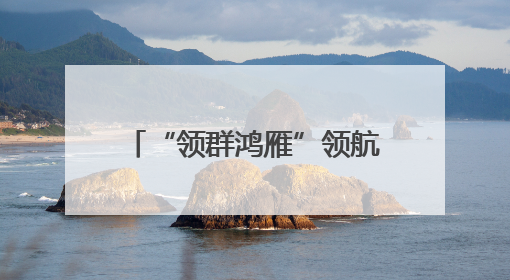 “领群鸿雁”领航边境共治新生态