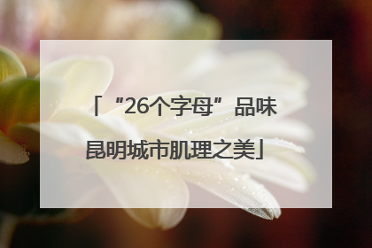 “26个字母”品味昆明城市肌理之美