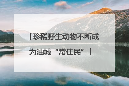 珍稀野生动物不断成为油城“常住民”