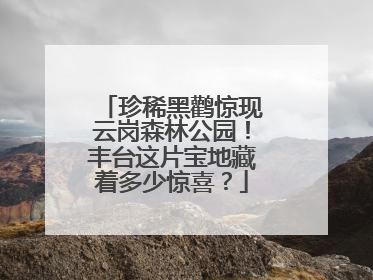 珍稀黑鹳惊现云岗森林公园！丰台这片宝地藏着多少惊喜？