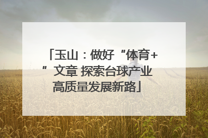 玉山：做好“体育+”文章 探索台球产业高质量发展新路