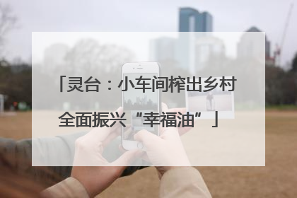 灵台：小车间榨出乡村全面振兴“幸福油”