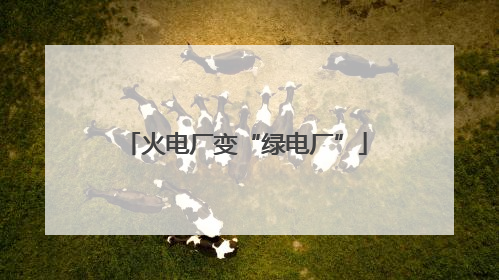 火电厂变“绿电厂”